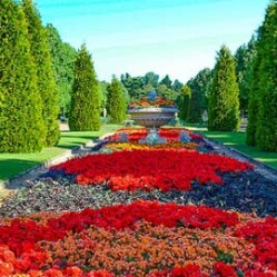 Regent's Park: Il parco di Londra perfetto per fare sport