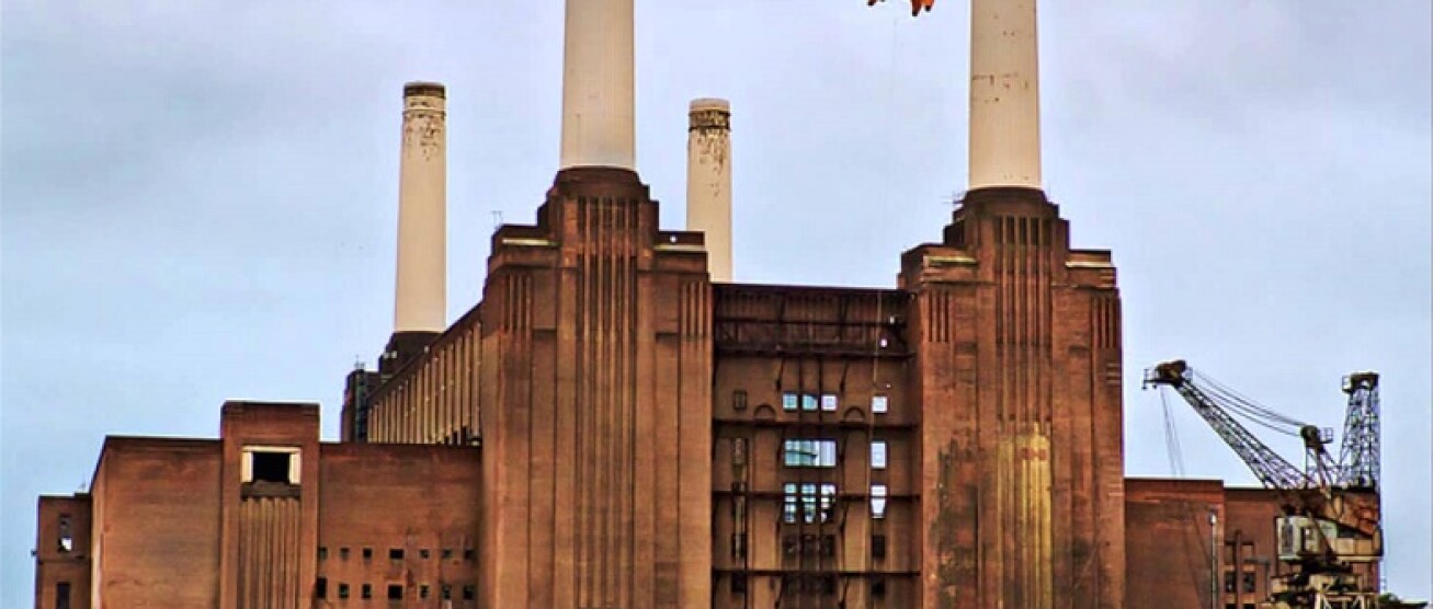 pigs on the wing