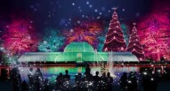 Christmas At Kew