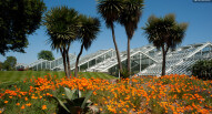 Kew gardens 2