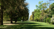 Kew gardens 3