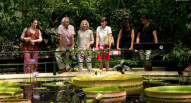 Kew gardens 4