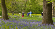Kew gardens 6