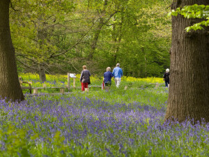 Kew gardens 6