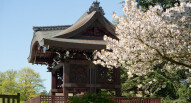 Kew gardens 7