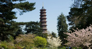 Kew gardens 8