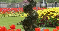 Buckingham Palace Gardens SouthEastern Star flickr