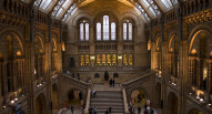 natural history museum pistol peet