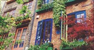 NEALS YARD organic