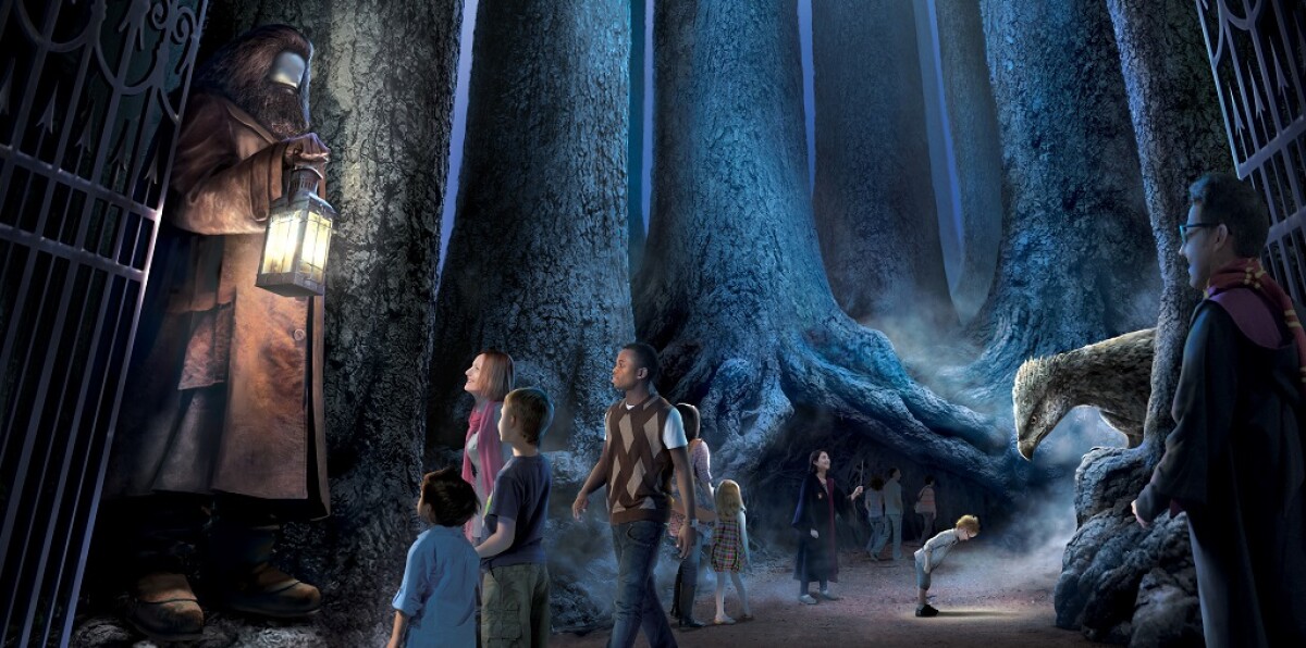 Entra nel mondo di Harry Potter con tour guidati tra set iconici, luoghi segreti e magie che prendono vita