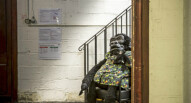 Pupazzo di un gorilla
