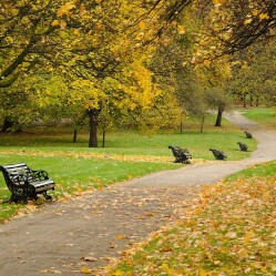Londra sarà la prima Città Parco Nazionale al mondo