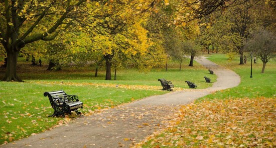 Londra sarà la prima Città Parco Nazionale al mondo