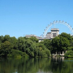 St James's Park: Un cuore verde a due passi da Buckingham Palace