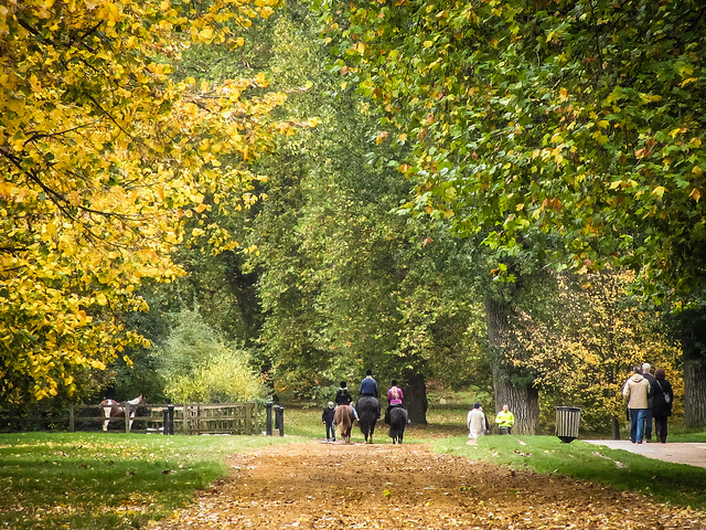 hyde park londra